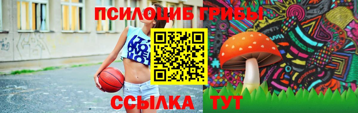 Котельники  купить закладку  Вход с VPN  Галлюциногенные грибы Psilocybe 